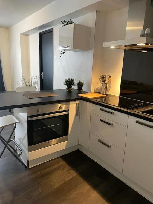 Le Cocon Des Horizons Apartment Rennes Bagian luar foto